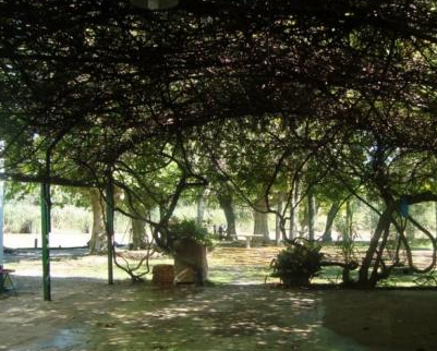 Camping La Primavera