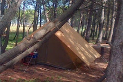 Camping Paseo del Pinar