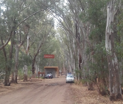 Camping UNS