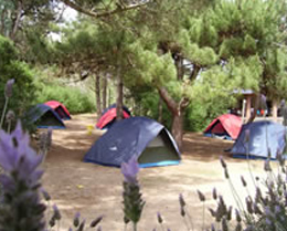 Camping La Arboleda