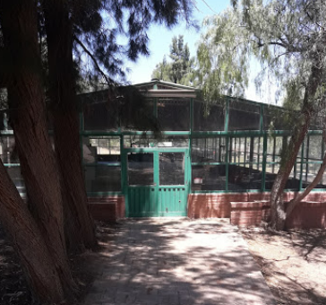 Camping Bosque del Dique