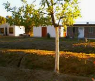 Camping Establecimiento San Andrés