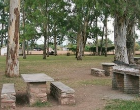 Camping Los Eucaliptus