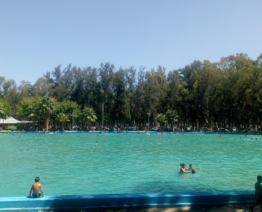 Camping Municipal El Pinar