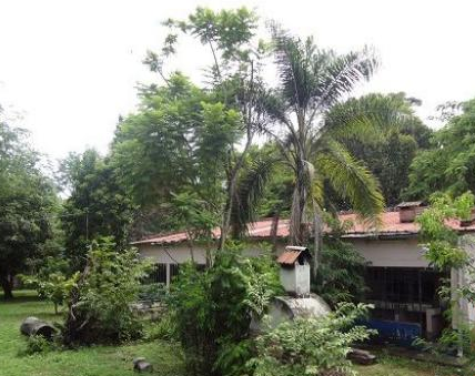 Camping Río Pescado