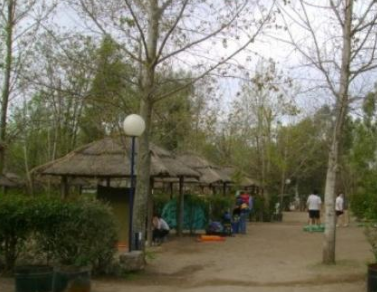 Camping Universidad San Luis