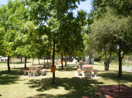 Camping 15 de Junio