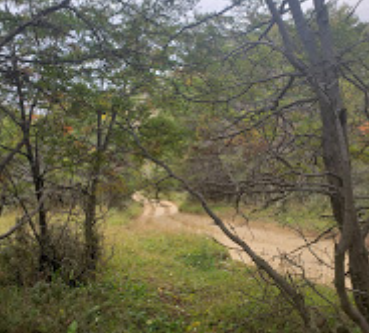 Camping Bosque de los Duendes