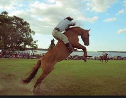 Camping Club Hipico Los Gauchos