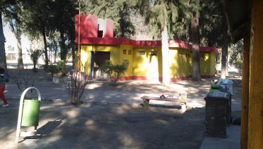 Camping Las Casuarinas