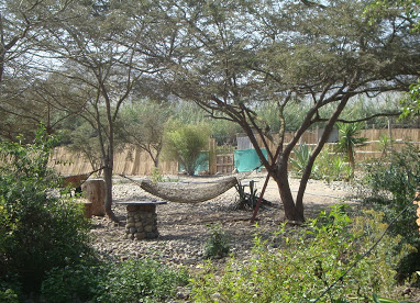 Camping Caraltambo