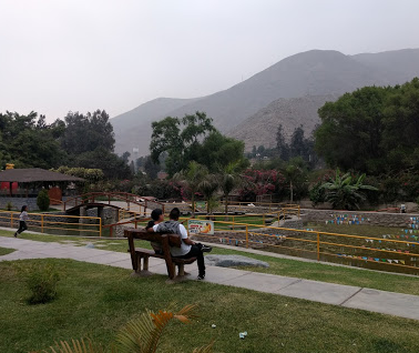 Camping Club Los Angeles