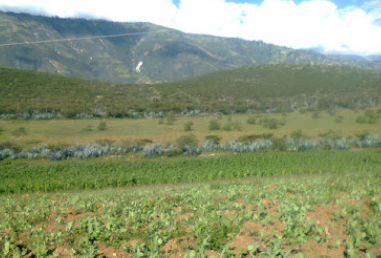 Camping Huacracoto