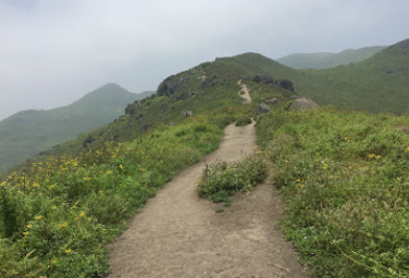 Camping Lomas de Lúcumo