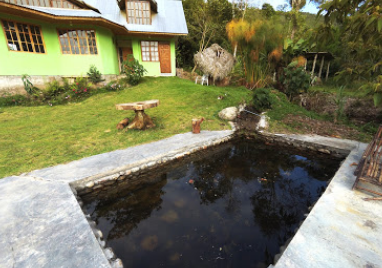 Camping Oxapampa Nativa