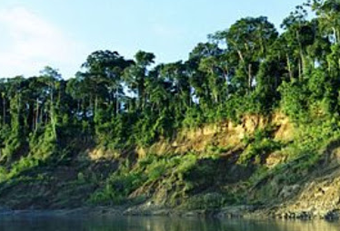 Camping Parque Nacional del Manu