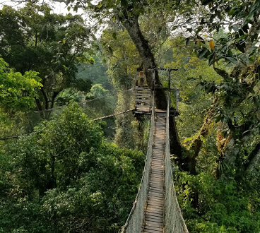 Reserva Nacional Tambopata