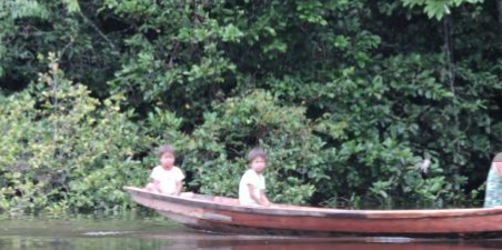 Camping Wild Yarapa Amazon Jungle Lodge