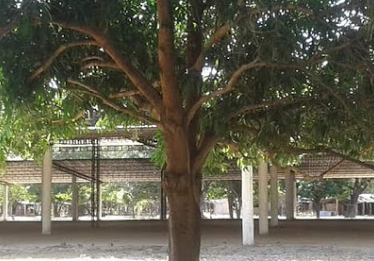 Camping Monte Hermón