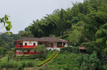 Camping Paraíso Verde