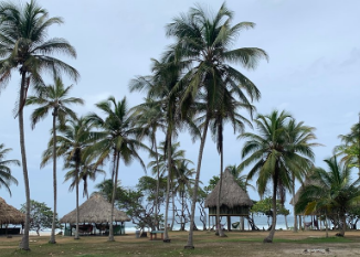 Camping y Playa Brava Teyumakke